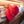 Load image into Gallery viewer, White "Nine Mile" Script, Red Snapback Hat